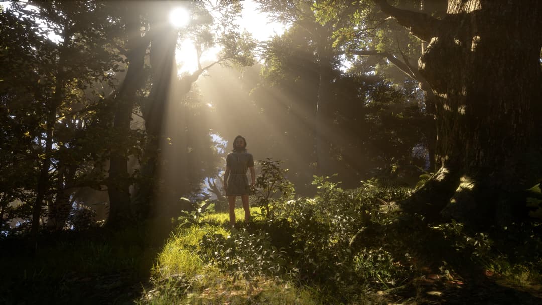 Show us the best place for a picnic!