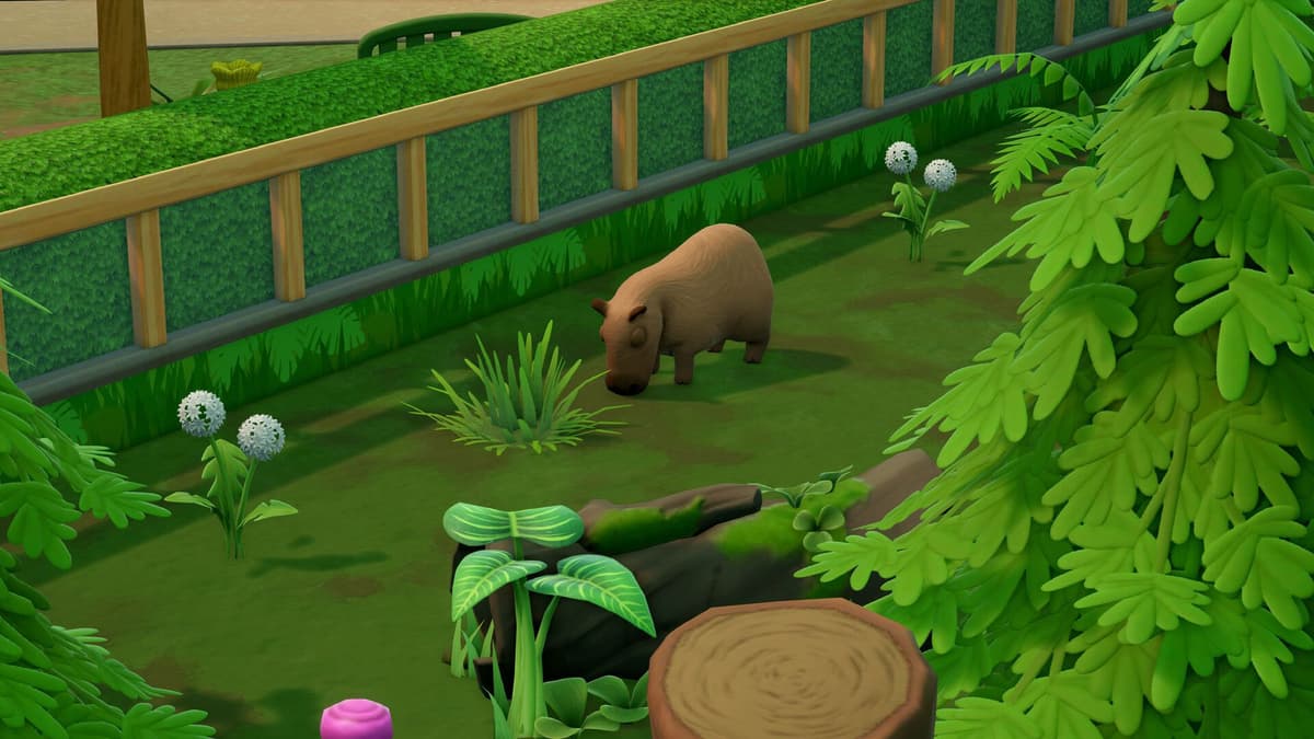 Make the best animal noise for a Zooseum animal!