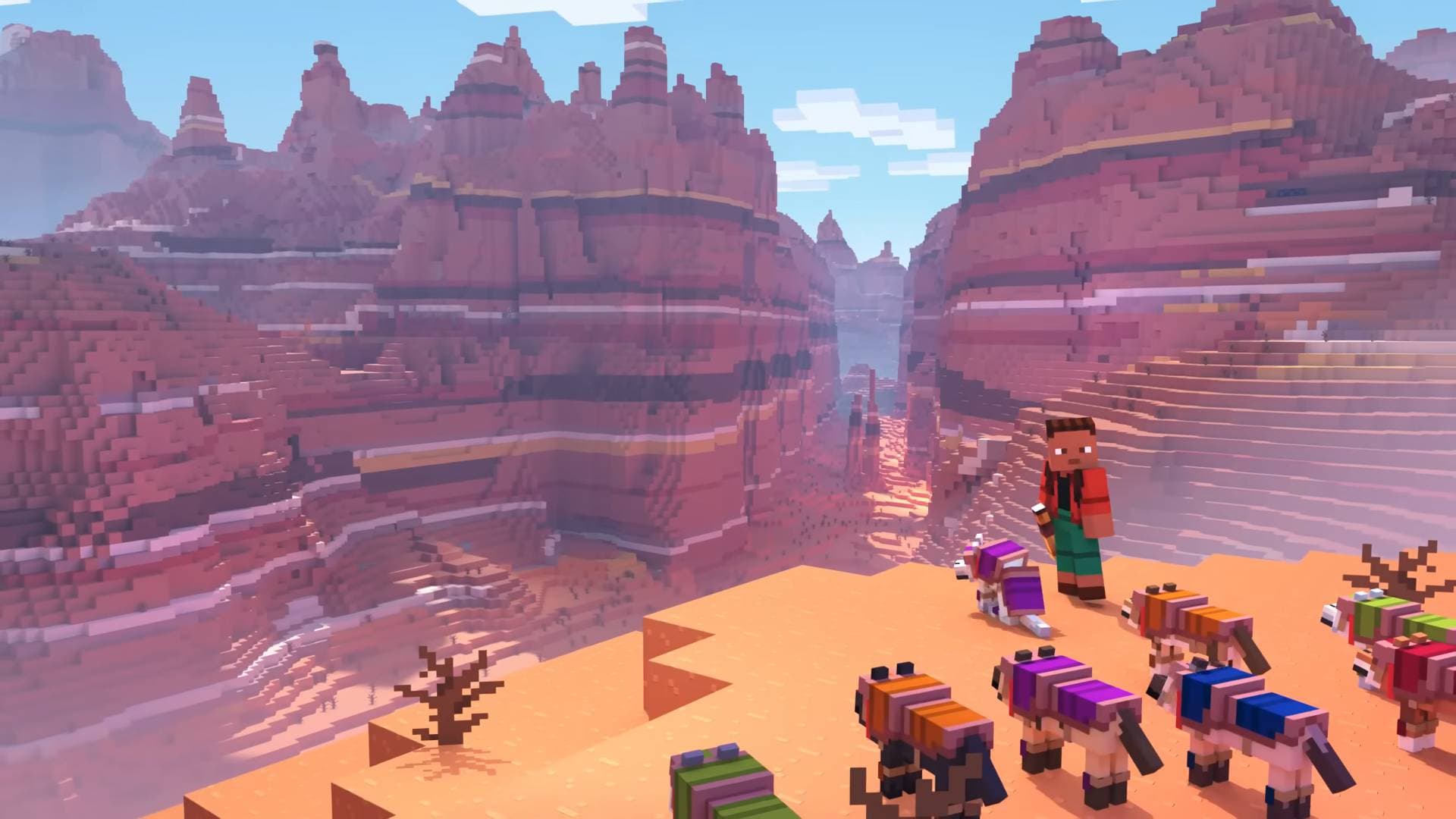 Share your story about how you discovered Minecraft for $2!