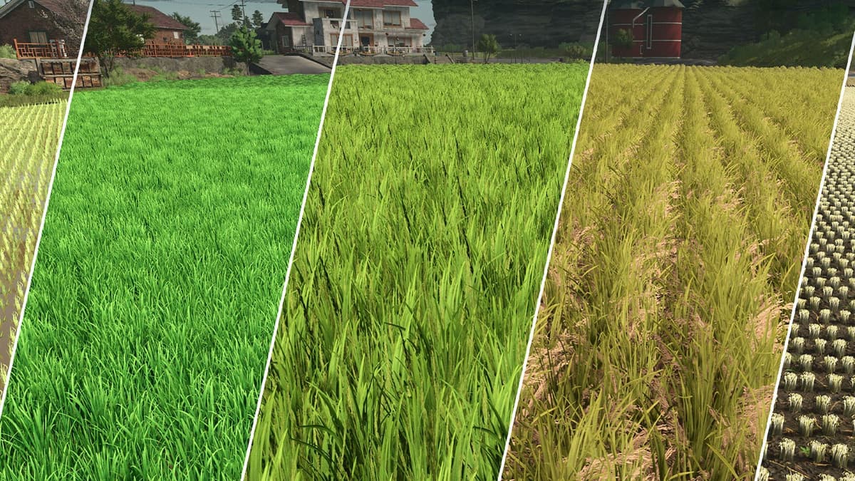 Make a before/after image of a field's growth state!