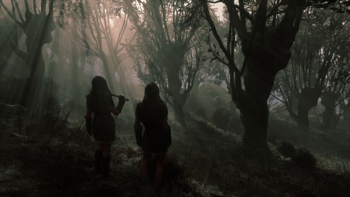 Help a new Pax Dei player!