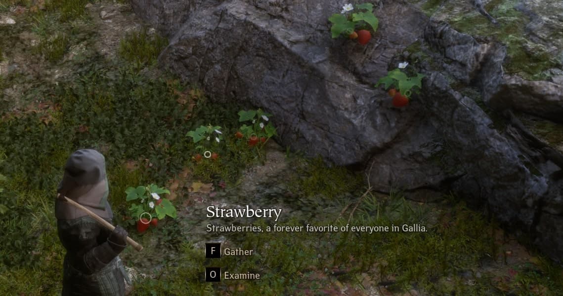 Make a Pax Dei strawberry meme!